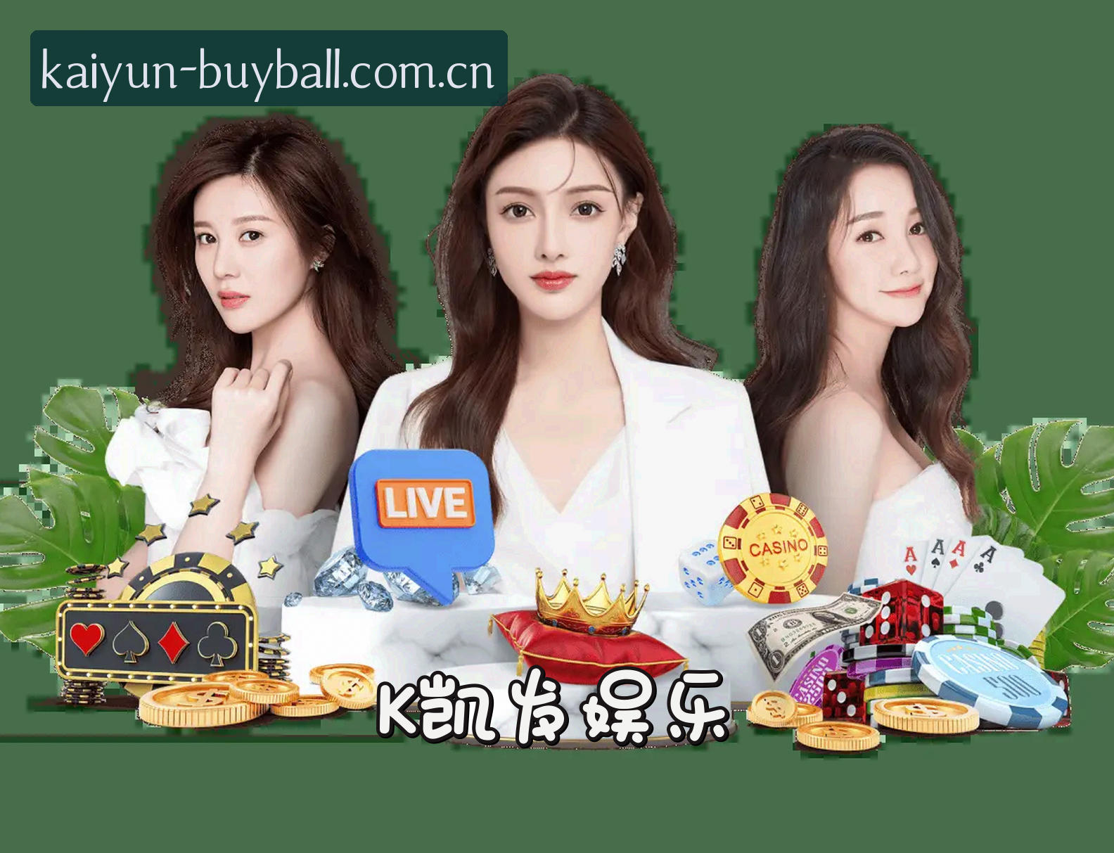 关于我们
